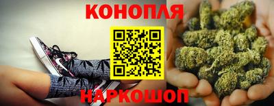 Альфа ПВП Донецк