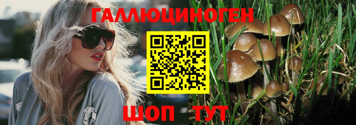 Галлюциногенные грибы прущие грибы  Вход с VPN  Щёкино  Галлюциногенные грибы мицелий 
